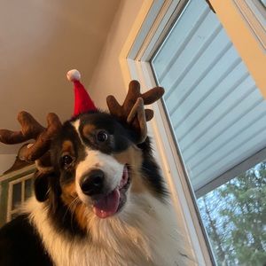 Meet your Posher, Janee